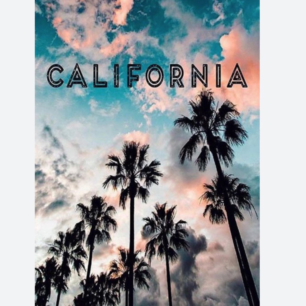 California Dreaming SUMMER SALE OFFERS ACCEPTED ALL FL inventory available!! - Picture 1 of 5